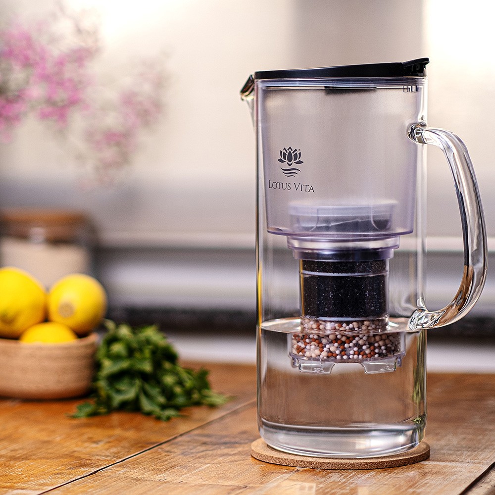Eine Glas-Wasserfilterkanne von Lotus Vita mit sichtbarer Filterkartusche steht auf einem Holztisch in einer Küche.